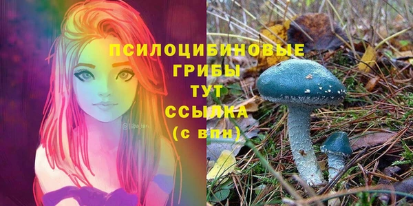 2c-b Бородино