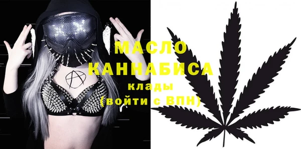 2c-b Бородино