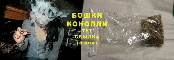 крисы Бронницы
