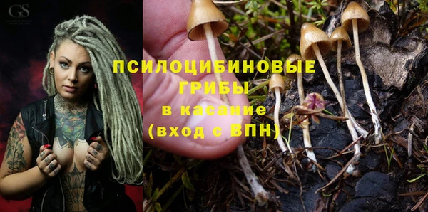 первитин Бугульма