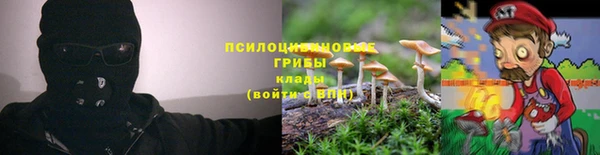 крисы Бронницы