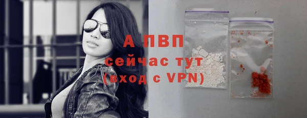 крисы Бронницы