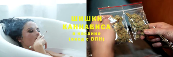 2c-b Бородино