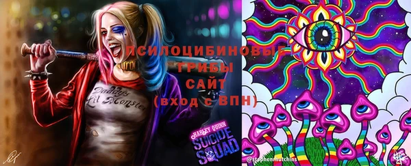 крисы Бронницы