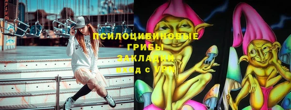 2c-b Бородино